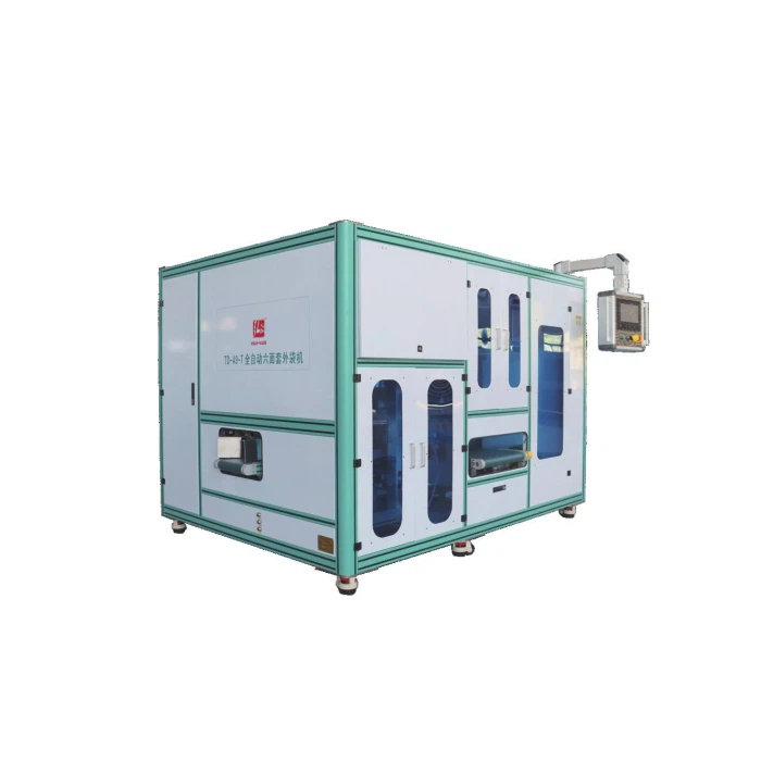 5kg Fully Automatic Rice Brick Outer Bagging Machine 5kg Fully Automatic Rice Brick Outer Bagging Machine